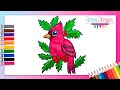 Cómo dibujar un CARDENAL ROJO - Paso a paso