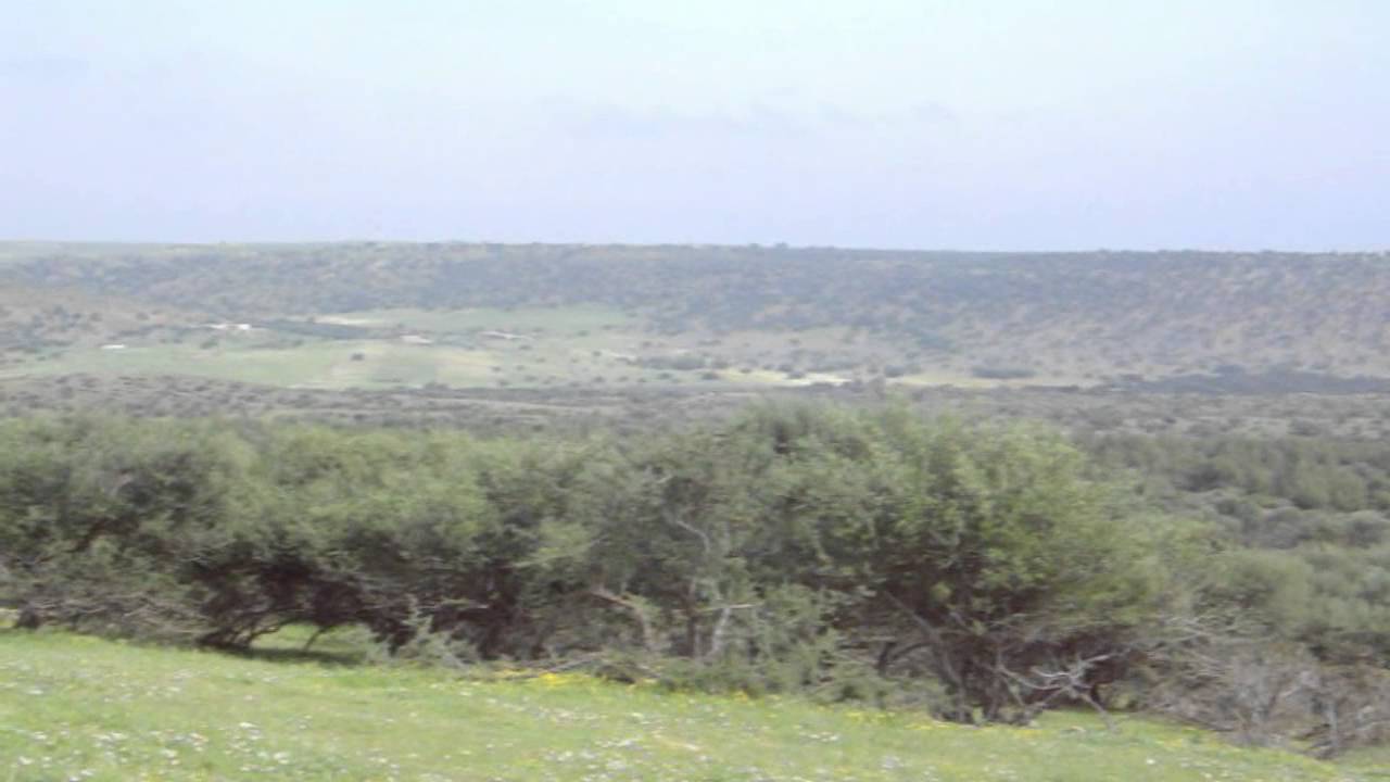 محمية بوعسيلة بأبي الجعد: فضاء ايكولوجي ذو مقومات سياحية