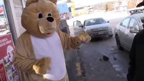 Guy in Bear Suit Causes Car Accident - 2018*