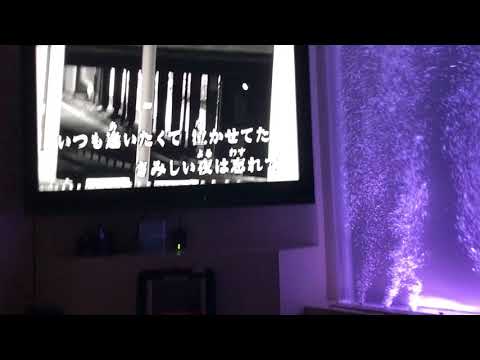 安全地帯『To me』【男子高校生】歌ってみた