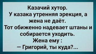 видео: Как Казаку Жена Не Давала! Сборник Свежих Анекдотов! Юмор! Смех! Позитив!. картинка: Как Казаку Жена Не Давала! Сборник Свежих Анекдотов! Юмор! Смех! Позитив!.