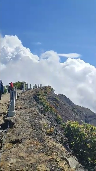 Puncak Gunung Gede #gununggede #puncakgunung #viaputri #gunungpangrango #shorts #cianjur #jawabarat
