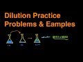 Dilution Concepts and Examples Quiz