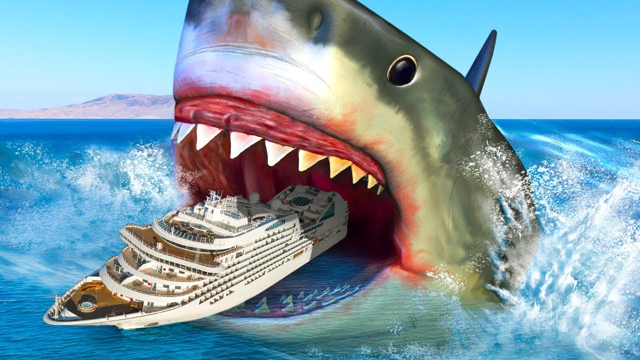 cruise ship compared to shark