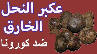 Propolis شاهد: دواء كورونا - العكبر و فوائده المهمة لمحاربة الأمراض و تقوية المناعة