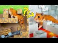 Incroyable labyrinthe Minecraft pour Hamster ! 🐹❤️