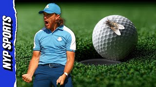 Is It Possible a FLY Helped Golfer Tommy Fleetwood Sink This Putt? Physicist Explains Viral Video
