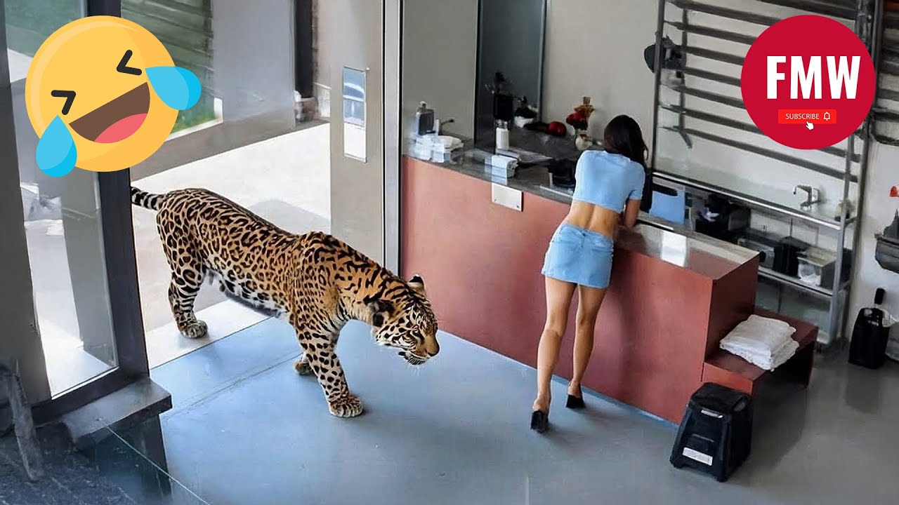 Funny & Hilarious People Life 😆 #467 | TRY NOT TO LAUGH CHALLENGE 😂 | Funny Videos Compilation 2