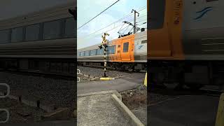 【踏切】唐井出踏切　第３種踏切　8000系特急電車　（JR四国　予讃線）  #jr四国 #踏切 #電車 #踏切カンカン #Railroad crossing  #japanrailway