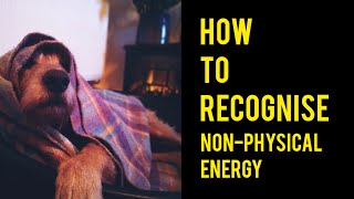HOW TO RECOGNISE NON PHYSICAL ENERGY (WE NEVER DIE) #thesoulgardenuk