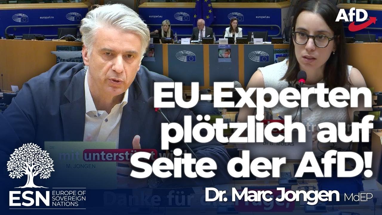 ++ EU-Experten plötzlich auf Seite der AfD! ++