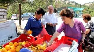 Mespila (Cyprus, Lassi)