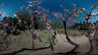 Parque Quinta de los Molinos in 8K 360 VR