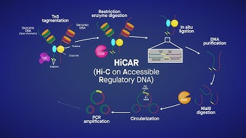A robust, sensitive method for analyzing genome sequences in 3D