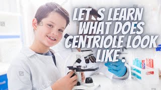 Sentriyol Neye Benziyor Ve Gerçek Hayatta Sentriyol Neye Benziyor, Sentriyol Nedir Ve F