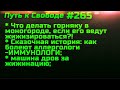 #265 ⚡️⚡️⚡️ Сказочный рассказ выживания иммунолога после жижинации. Дрова за жижинацию.