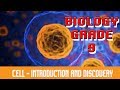 The Cell | What Is A Cell? | Who Discovered Cell? | Definition &amp; Techniques Related To Cell | Part 1