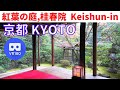 VR180  京都観光 桂春院 "秋の庭園" Japan KYOTO Keishun-in Temple "Autumn Japanese garden"