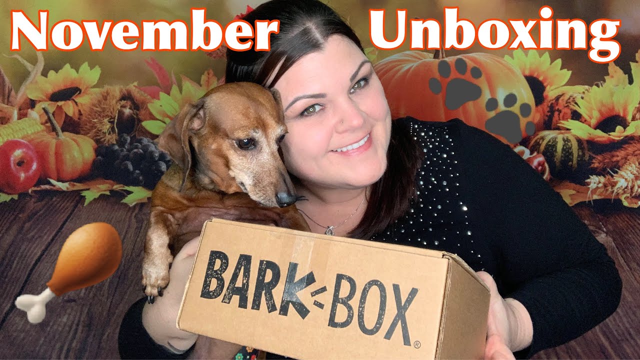 Bark Box // November Unboxing 🐾 YouTube