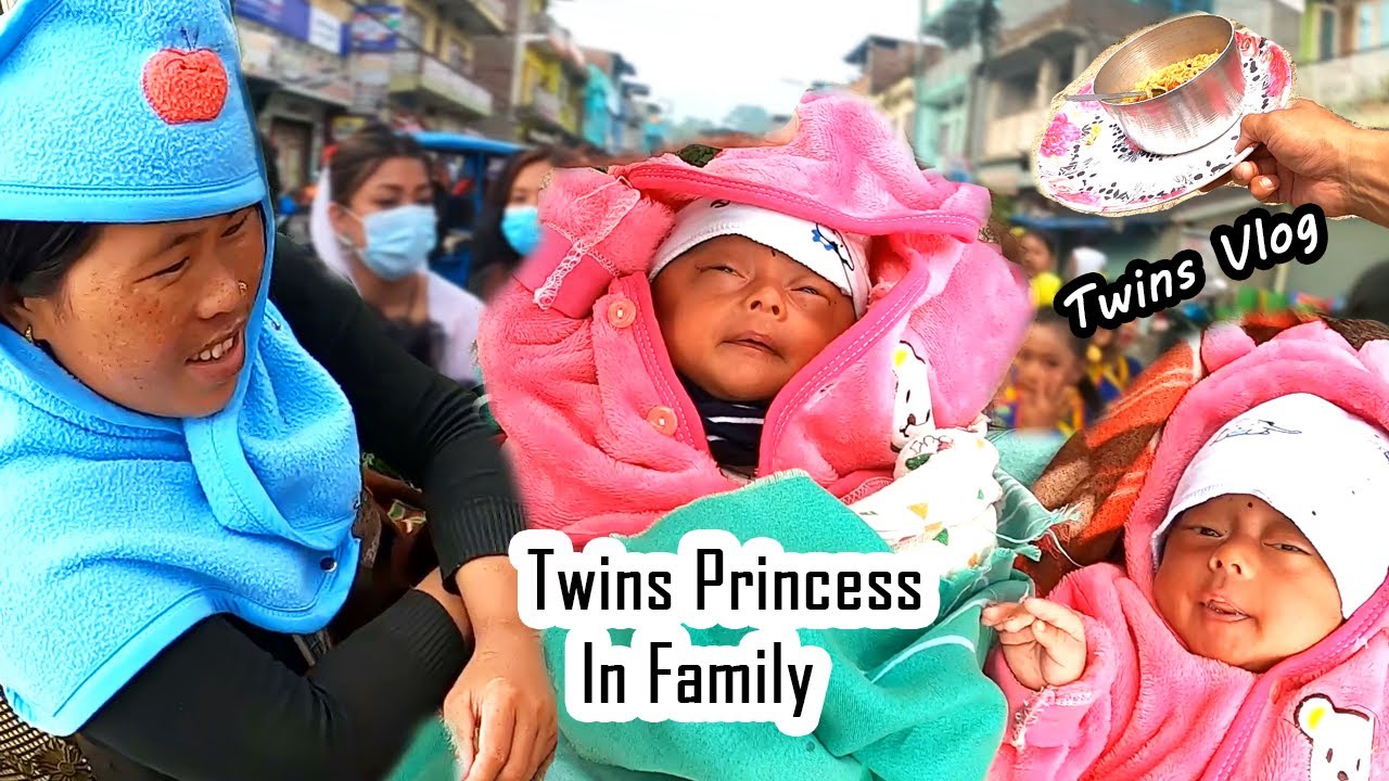 Twins Cute Princess Vlog😍👌 | Our Family Members || Riyasa And Ritisha ...