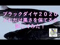 【筑豊めだか】ブラックダイヤ２０２０がどれだけ黒さを保てるか試してみた！