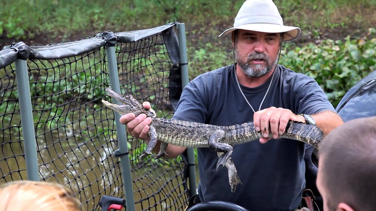 lafayette gator tours