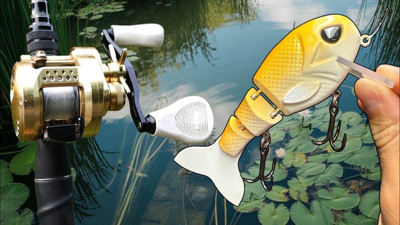 Swimbait Fishing Shallow Rocks for Summer Bass