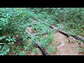 Checking on the Abandoned Diamond in Sudbury MA