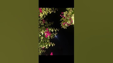 #سوره القمر #اكسبلور #قران_الكريم