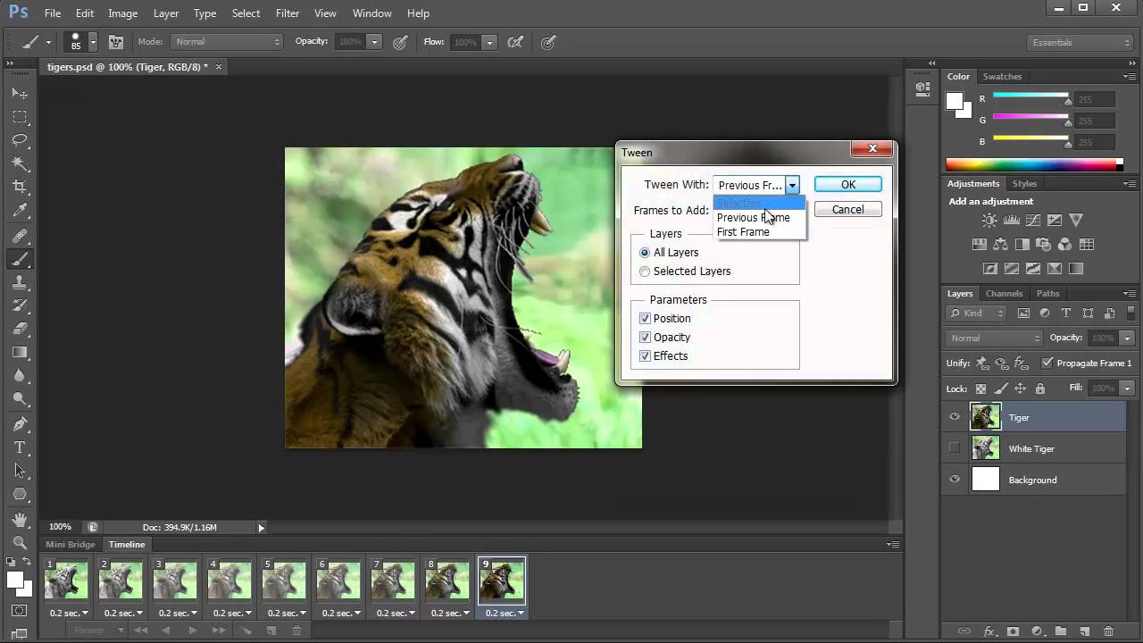 Adobe Photoshop Cs6 Gif Animation