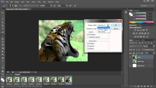 Save and create an animated gif in adobe photoshop cs6 cc free trial:
http://www.amazon.com/gp/product/b013exb6fw/ref=as_li_tl?ie=utf8&camp=1789&cr...