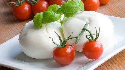 Салат из Томатов и Сыр Моцареллa легкая Закуска✔️Рецепт