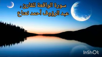 سورة الواقعة للقارئ : عبد الرؤوف أحمد نعناع .... بتلاوة معبرة وآسرة