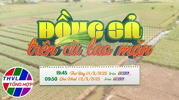 Nhịp sống đồng bằng: Đồng sả trên cù lao mặn | Trailer