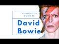 A Guide to DAVID BOWIE / 1947 - 1977