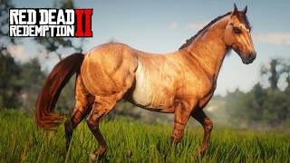 RESGATEI os lendários cavalos PASSO FINO roubados por bandidos no Velho Oeste! - Red Dead 2