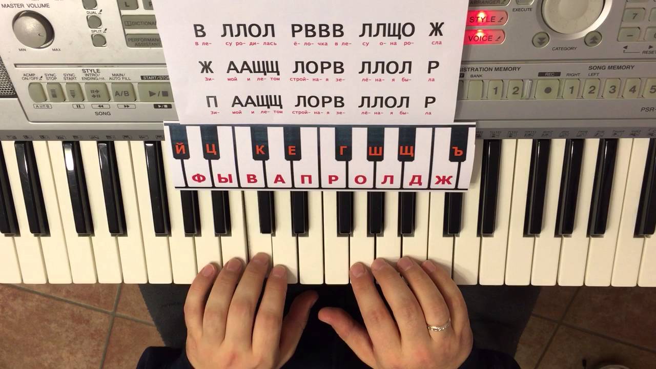 в лесу родилась елочка играть по цифрам. в лесу родилась ёлочка на пиагина. в лесу родилась ёлочка по цифрам. ноты в лесу родилась ёлочка для начинающих на синтезаторе. в лесу родилась елочка по нотам.