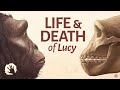 Life And Death 3,000,000 Years Ago