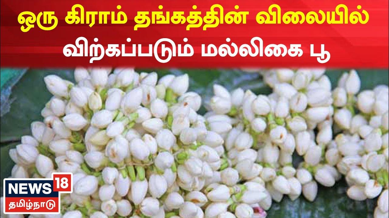Jasmine Flowers Rate Today In Tamil Nadu ஒரு கிராம் தங்கத்தின்