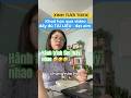 Hành trình tìm thấy nhao để học qua video toeic. Luyện từ 460 lên 730 trong 3 tháng tập trung nỗ lực