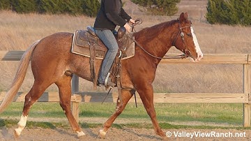 Playnwithmywildthing - riding in outdoor arena #1 - ValleyViewRanch.net