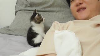 A Rescued Kitten Comes next to me every night To Sleep With Me