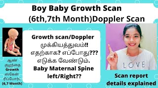 Boy Baby 6th,7th month Scan report details in Tamil|Fetal Growth Scan|Ultrasound at 32 Weeks