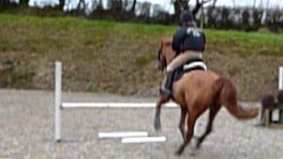 First Jumping lesson with Tamsyn! Raw!
