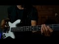 What&#39;s love got to do with It - Tina Turner (Bass Cover)