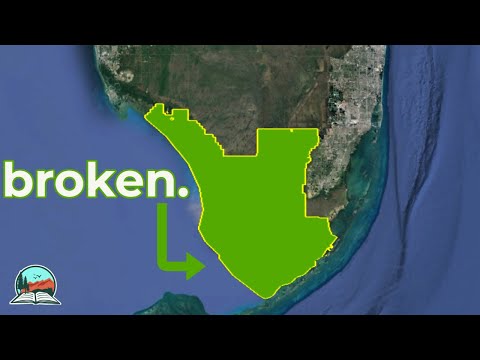 Video: Quali sono i produttori nelle Everglades?
