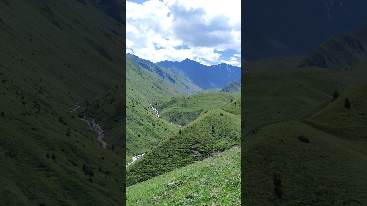 выше гор только орлы 