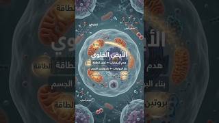 فيما تستعمل خلايا الجسم المغذيات؟