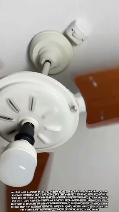 Ceiling Fan Improves Indoor Airflow and Enhances Energy Efficiency in All Seasons
