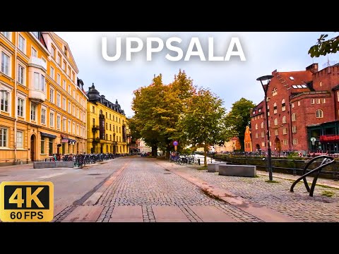 Driving in UPPSALA